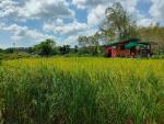 โคก หนอง นา โมเดล สวนญีน๊อต