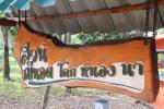 โคก หนอง นา โมเดล ตำบลบ้านควน